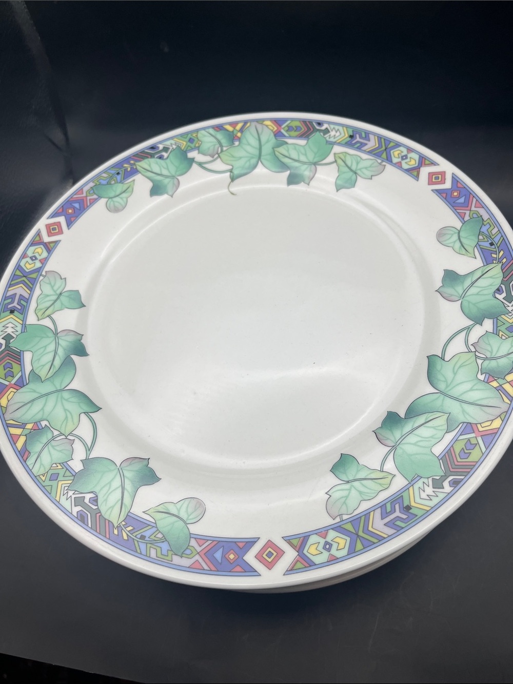 10” VTG 80s Highway Pasadena Ivy Border Dinner Plate -cottage core dinnerware